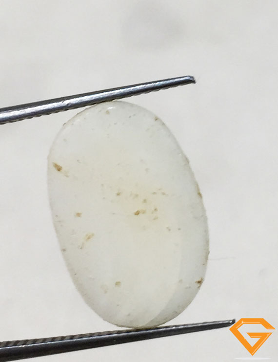 8.50 ratti/7.67 ct Natural Certified  White Coral/सफ़ेद मूंगा